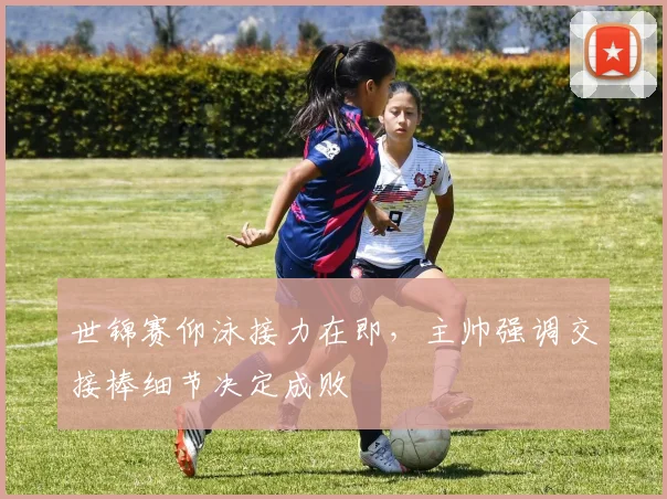 世锦赛仰泳接力在即，主帅强调交接棒细节决定成败