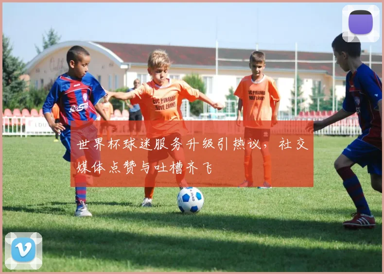 世界杯球迷服务升级引热议，社交媒体点赞与吐槽齐飞